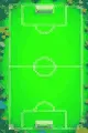 Cancha
